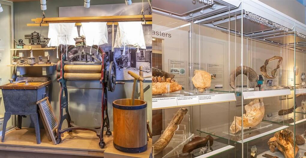A display of old fashioned washing equiptment at Hollytrees Museum, and a geology display in a glass case at the Natural History Museum